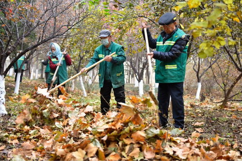 寿光园林建设集团 抓好抓细秋冬季园林防火安全 打造精品绿化景